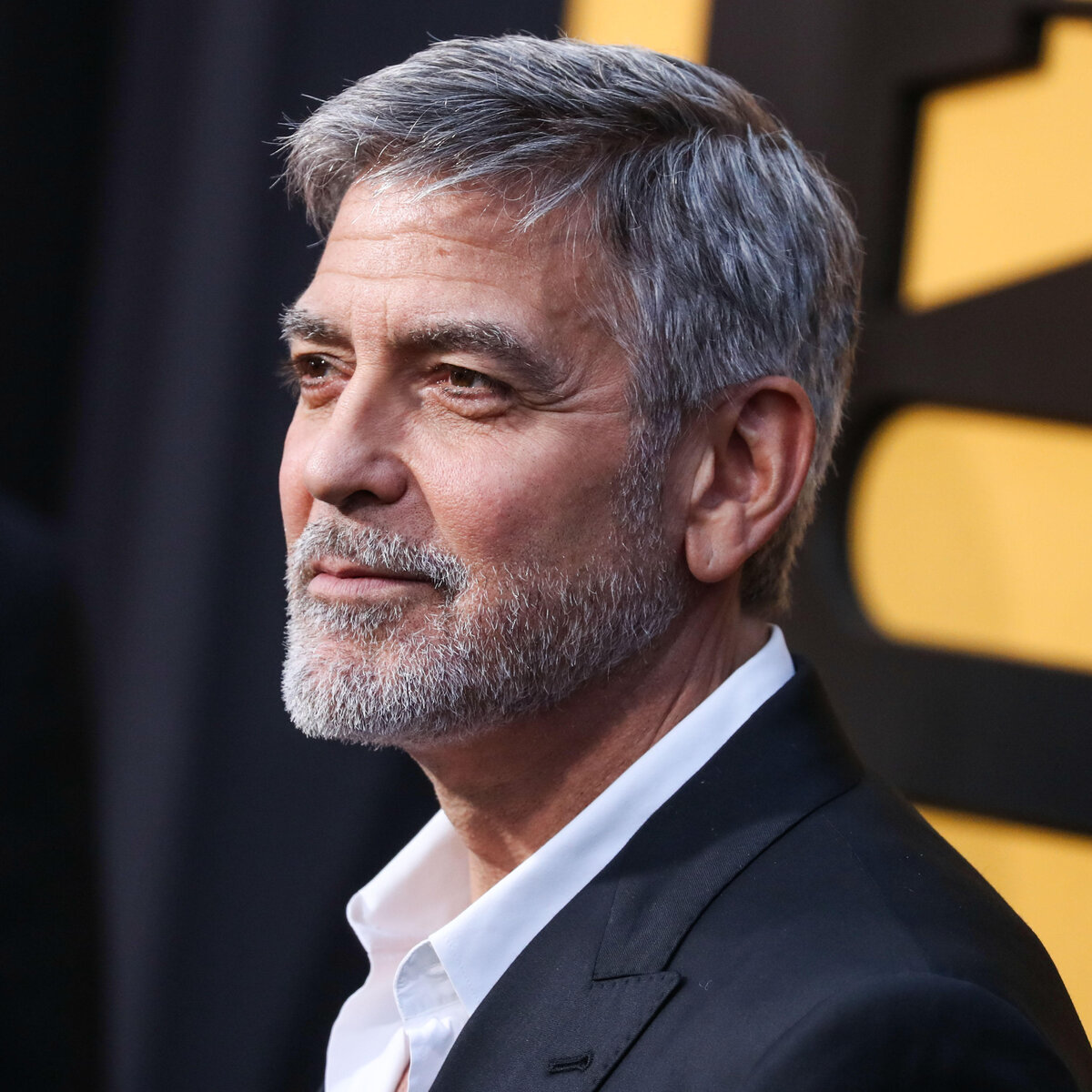 Фото: Global Look Press