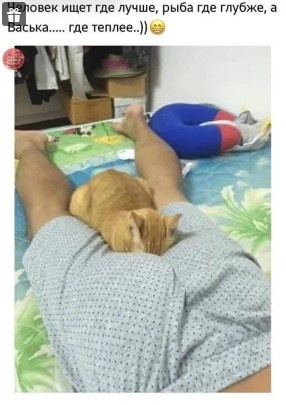 Котенок нашел теплое место