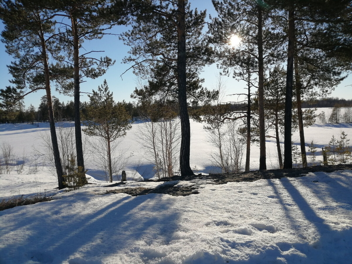 Морозное утро