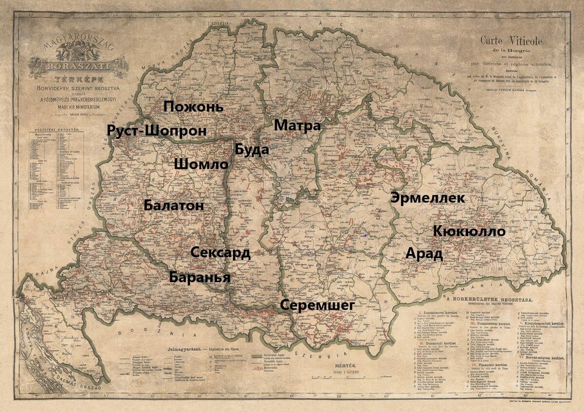 Карта винных регионов Венгрии 1884 года. 