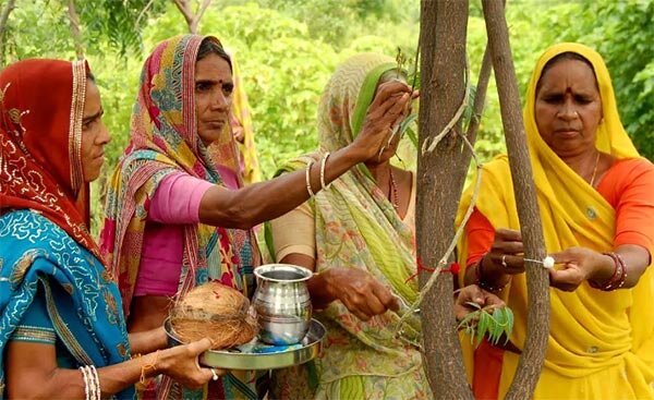 Брак с деревьями в Индии. Источник изображения: Яндекс. Картинки