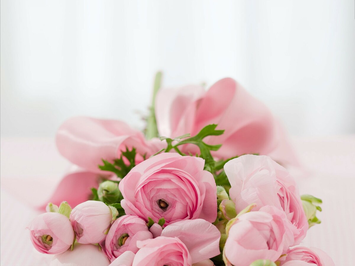 https://pixabay.com/ru/photos/%D1%80%D0%BE%D0%B7%D1%8B-%D0%B1%D1%83%D0%BA%D0%B5%D1%82-%D0%BF%D0%BE%D0%B7%D0%B4%D1%80%D0%B0%D0%B2%D0%BB%D0%B5%D0%BD%D0%B8%D1%8F-142876/