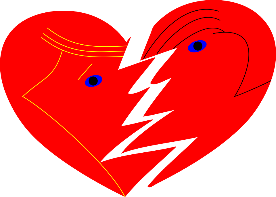 https://cdn.pixabay.com/photo/2017/01/30/17/48/heart-2021561_960_720.png