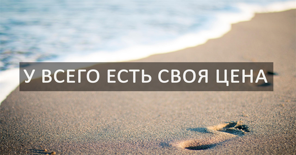 Фото из сети.