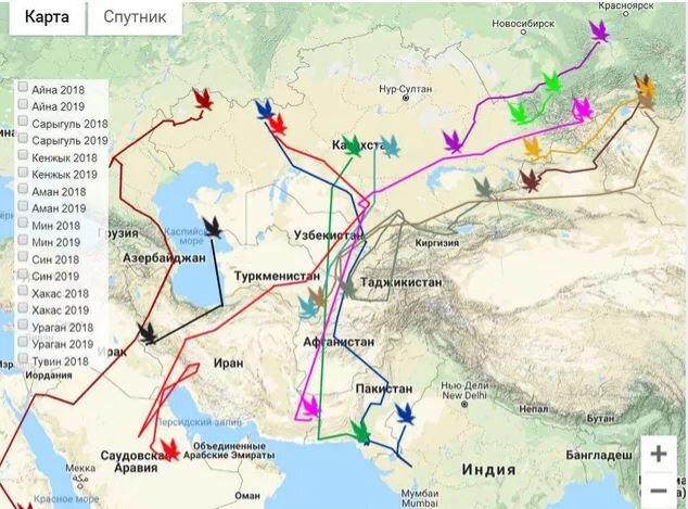Маршруты передвижения птиц "Центр реабилитации диких животных"