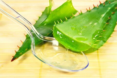 фото взято с интернета