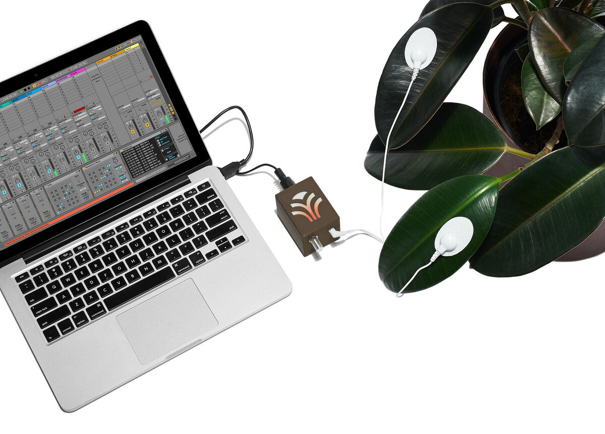 Аппарат для «прослушивания» растений.
© http://www.midisprout.com/store/midi-sprout  