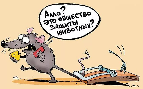 Источник изображения Яндекс Картинки 