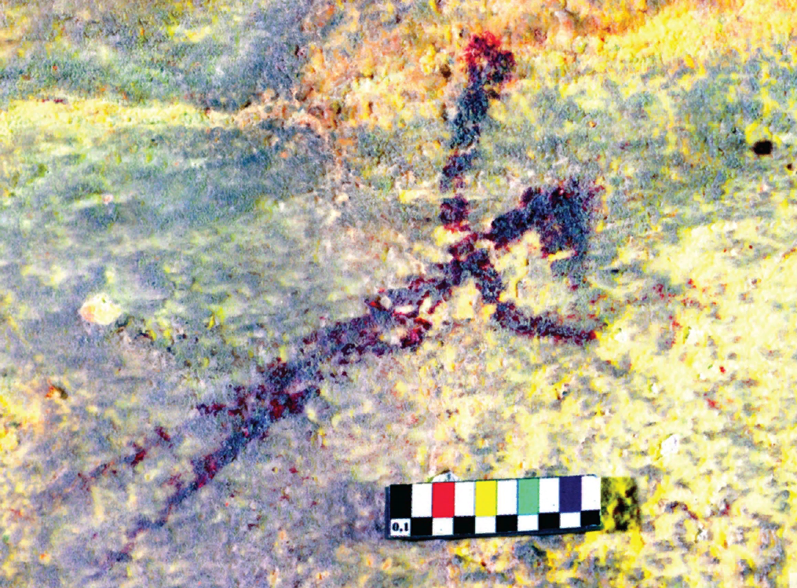 Иллюстрацию исследователи описывают как человека с мордоподобной головой. (Brumm et al./Природа)