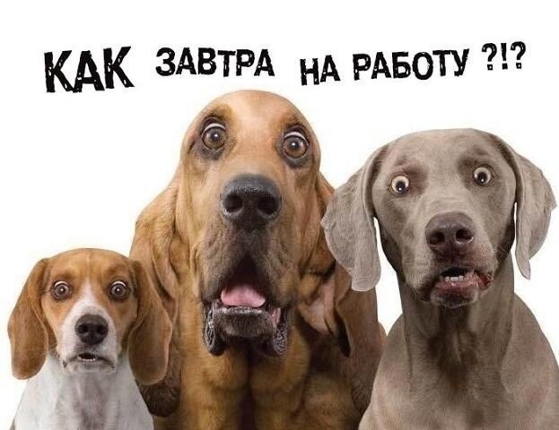 А вы не забыли, завтра на работу?! 