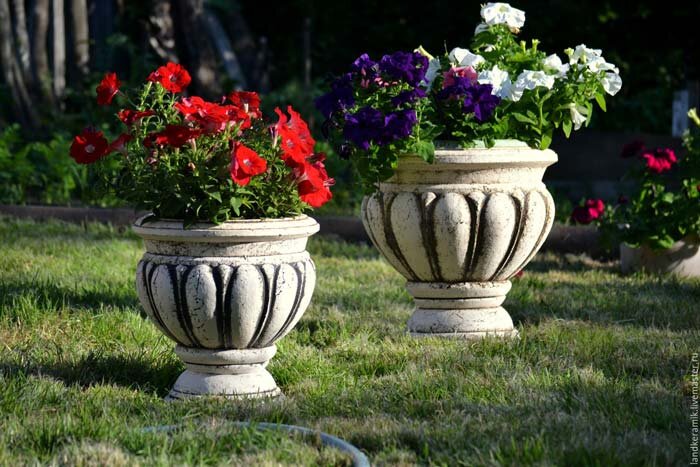 Вазоны на газоне. Фото из Яндекс картинки.