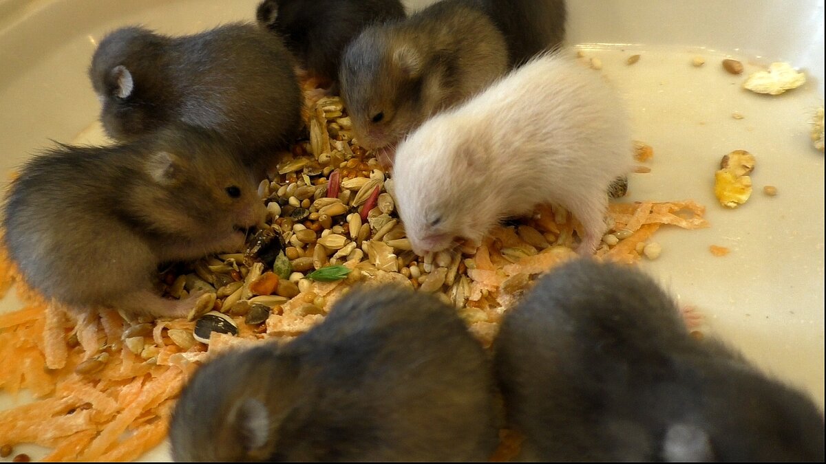 Учимся кушать.