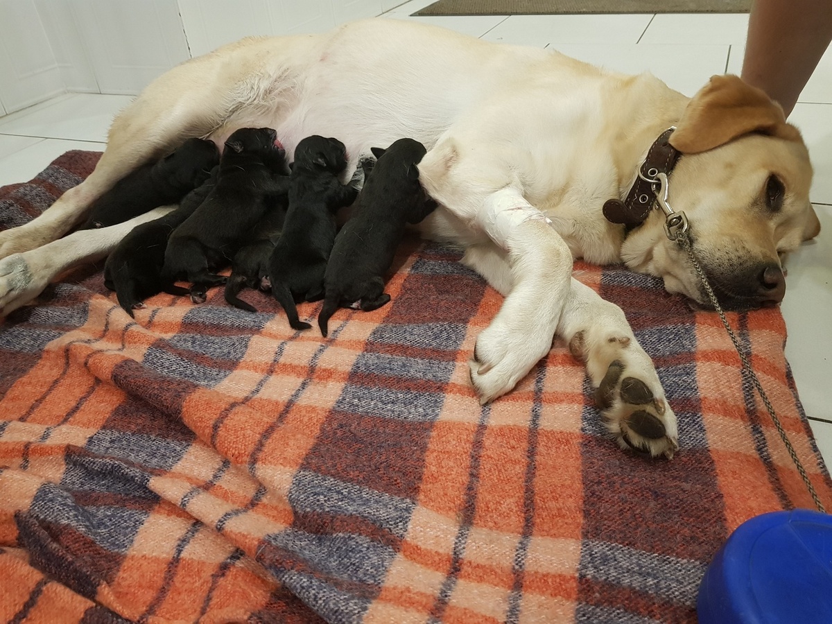 #ПациентыБазылевского 
