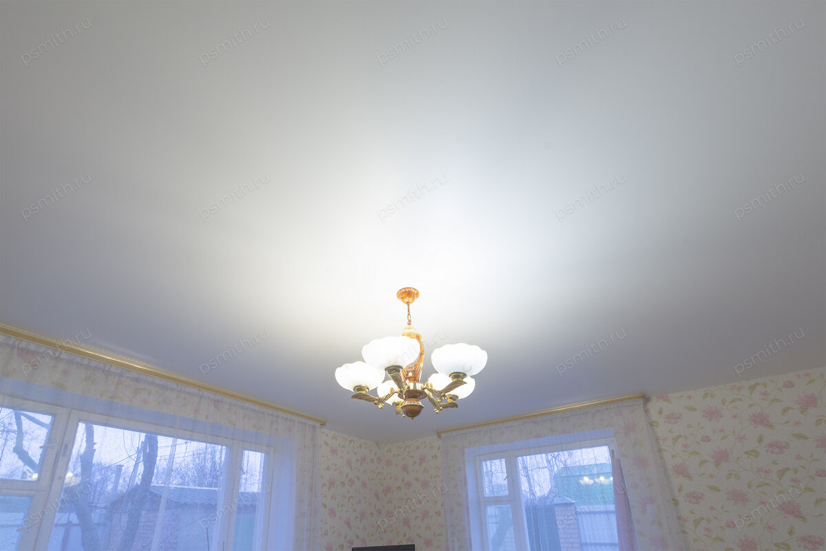 27 красивых натяжных потолков в зал: выбор материала и стиля | Потолки ...