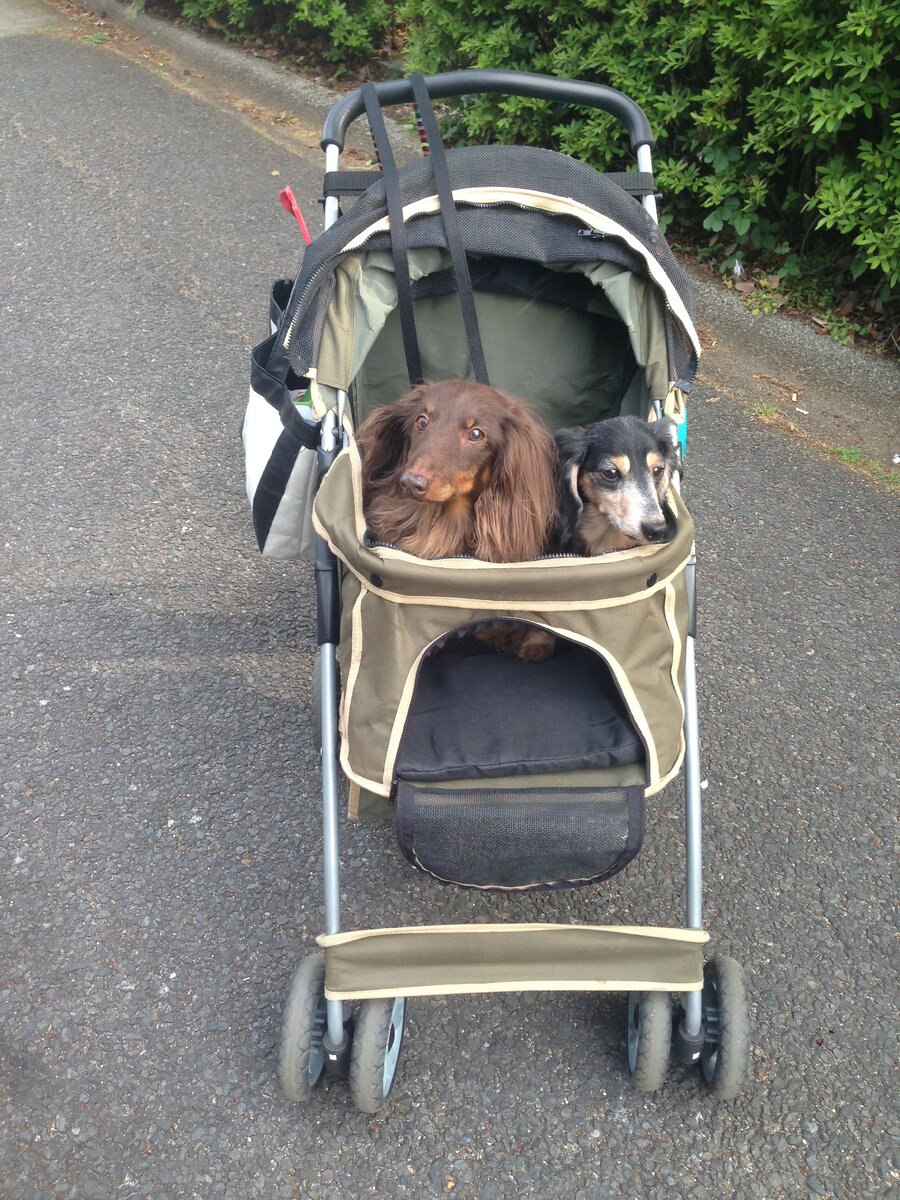 на прогулке