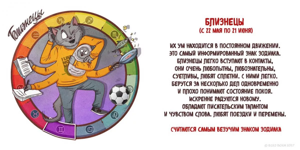 Юморной гороскоп на 2024 год. Шуточный гороскоп Близнецы. Близнецы прикольный гороскоп. Близнецы знак зодиака приколы. Веселый гороскоп.