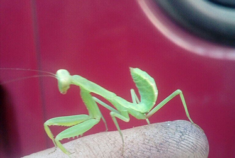 Этот парень помогал чинить машину