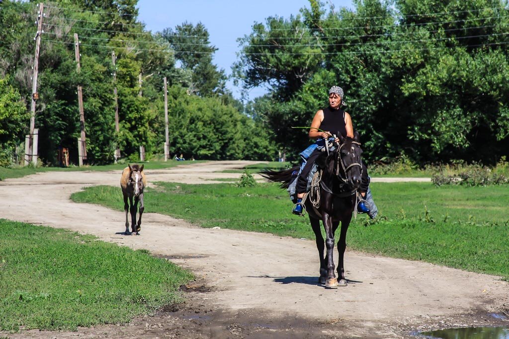 Сел 45. Село Ельцовка Усть Калманский район Алтайский край. Село Шилово Калманского района. Алтайский край Калманский район село Шилово. Село Шилово Калманский район фотографии.