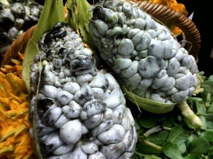 Это кукуруза, пораженная грибком до неузнаваемости. Трудно поверить, но кукурузный трюфель в Мексике считается ценным продуктом, а блюда, приготовленные с такими зернами, — деликатесом. 