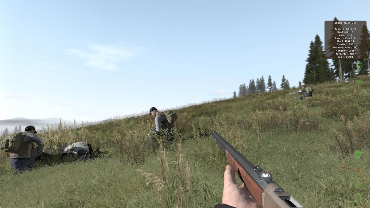 DayZ
