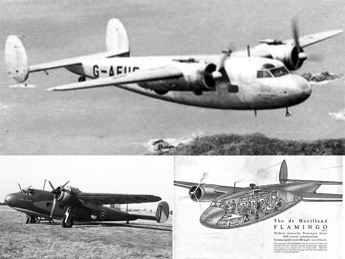 D.H.95 Flamingo, 1938