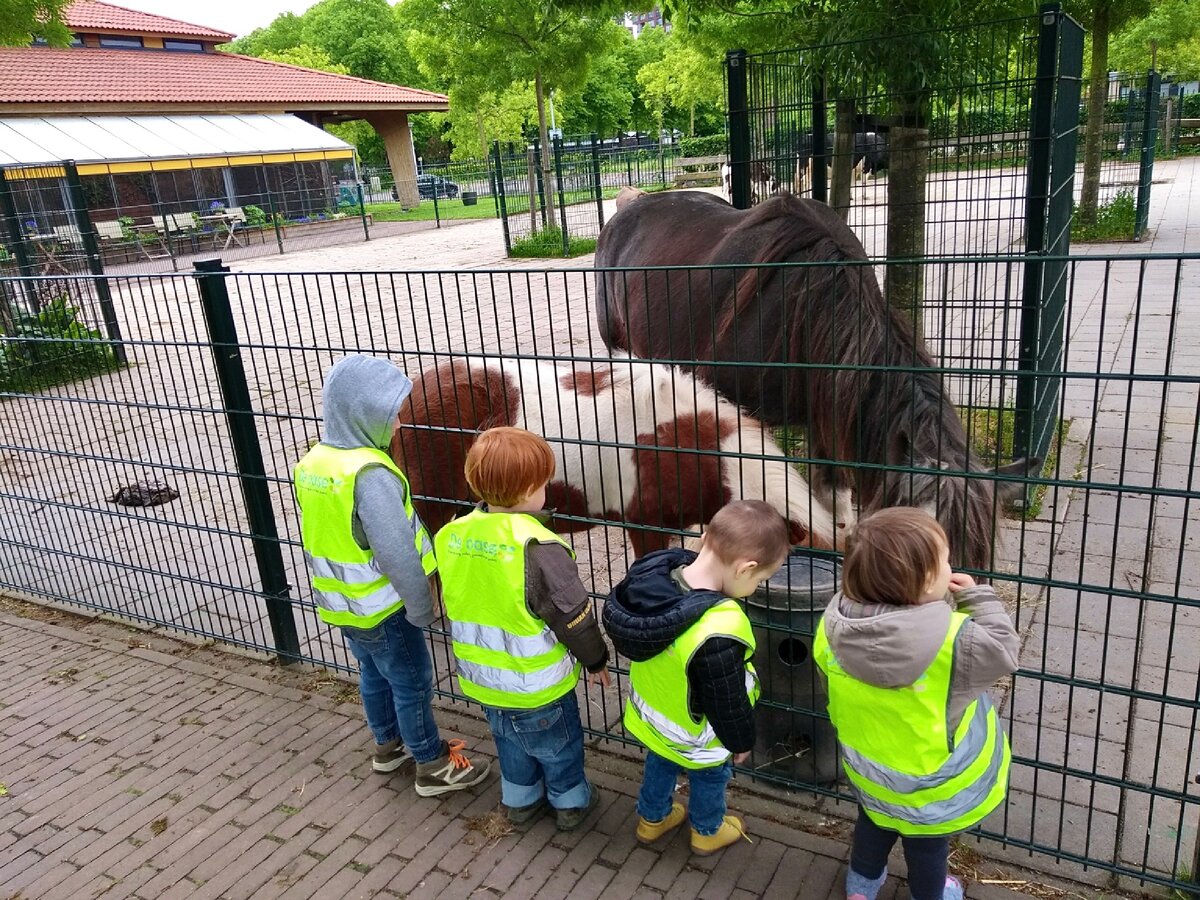 За работой - привели детей в контактный зоопарк / фото из личного архива 