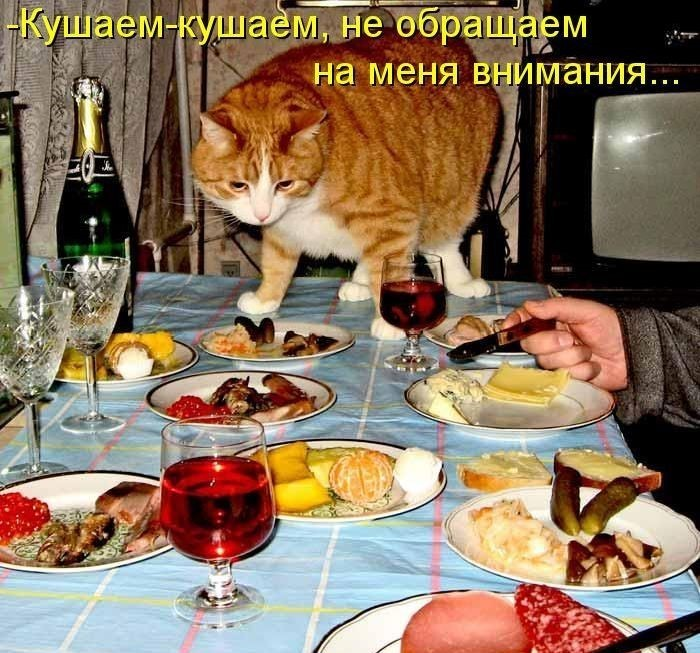 Пир во время чумы.