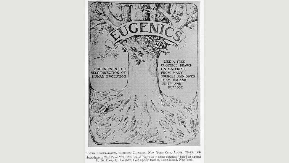 Первый в мире закон о евгенике был принят в Индиане в 1907 году, когда штат потребовал стерилизовать узаконенных людей (Фото: Wellcome Collection)