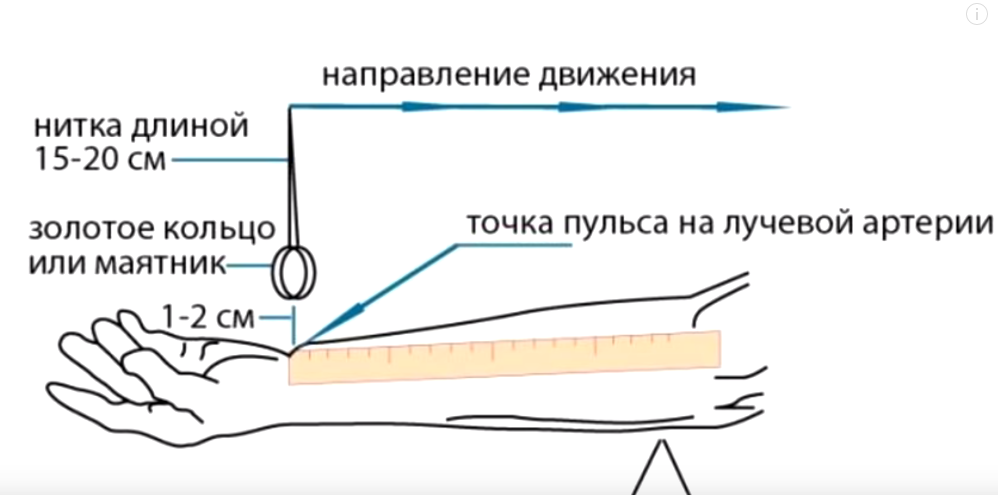 Как самостоятельно измерить артериальное давление и частоту сердцебиения (пульс)