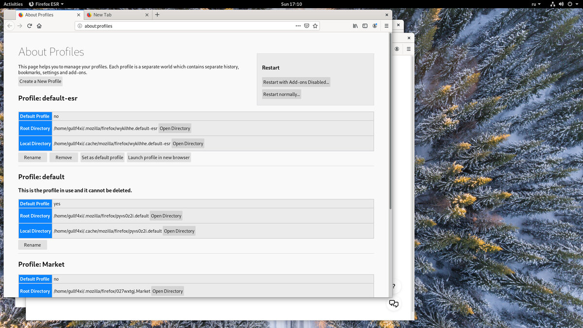 Страница about:profiles в Firefox