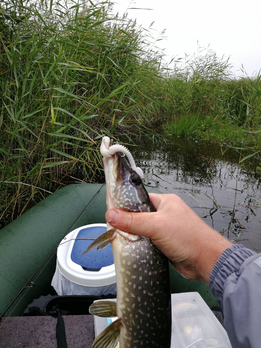 Эта красотка стояла в засаде в траве под кустом