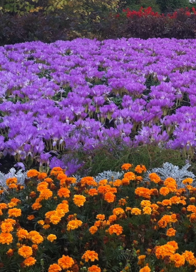 Собственное фото