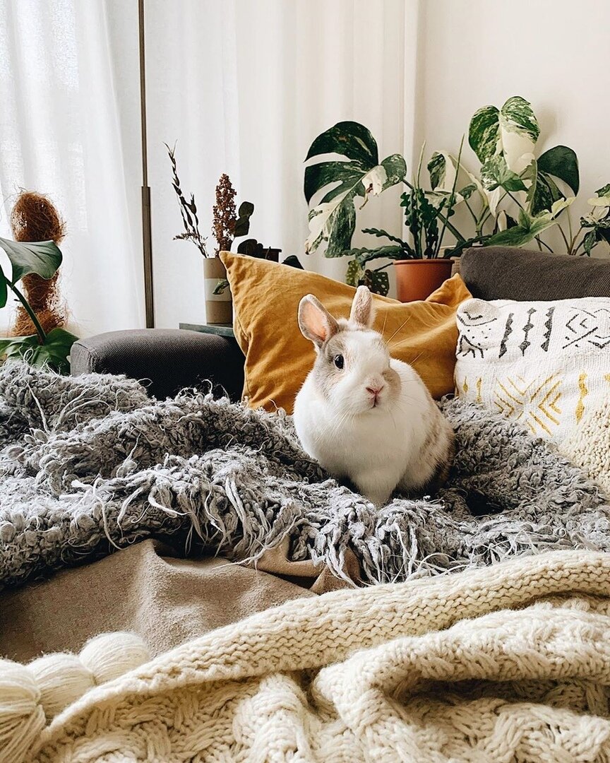  Фото из свободных источников.