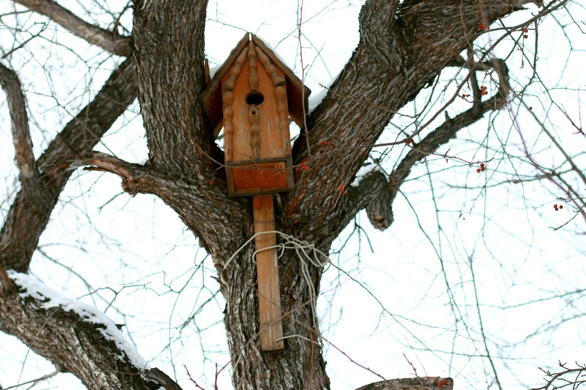 Даже и не знаю какую картинку прикрепить к этому тексту. Фото из личного архива