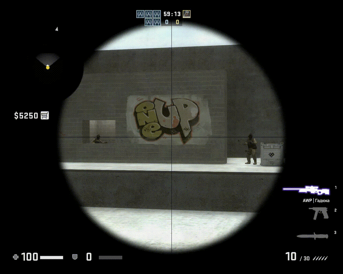 Из моей тренировки фликшотов