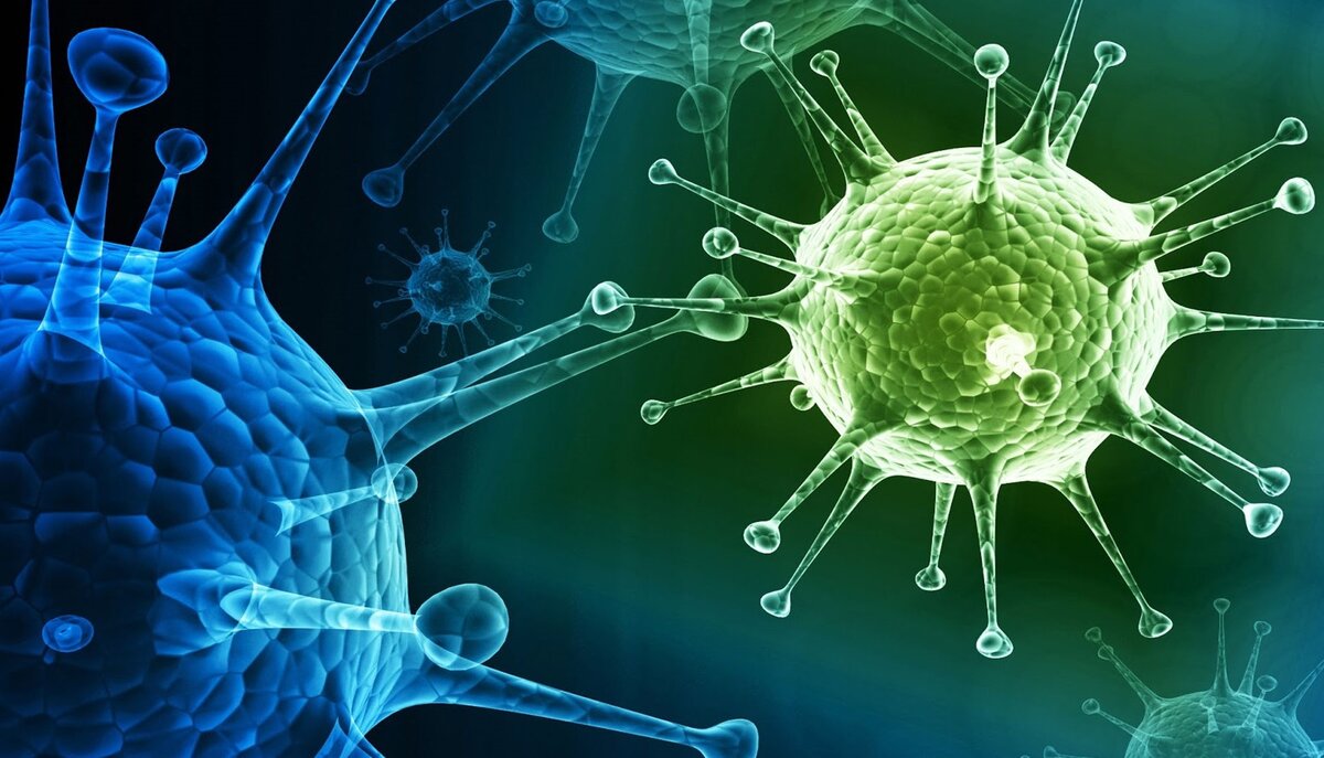 Коронавирус (COVID-19) (фото из открытых источников)   