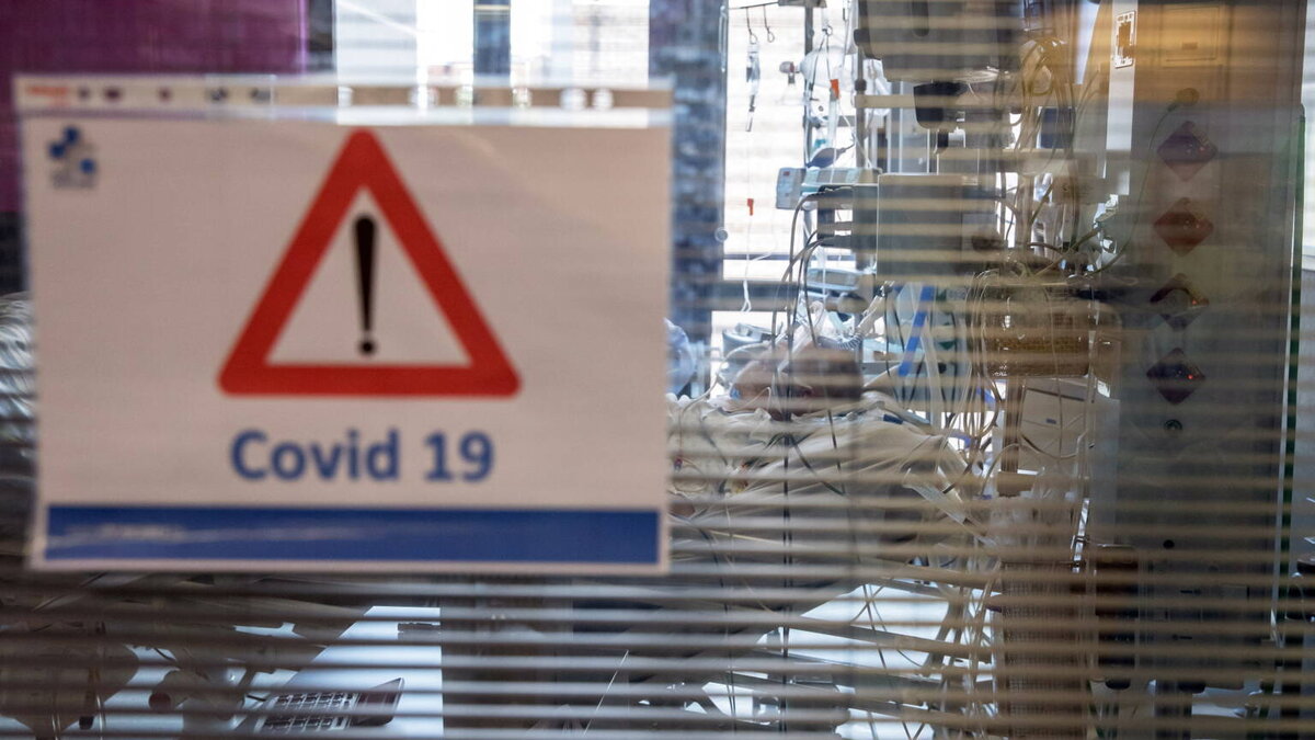 Фото (с) https://nos.nl/