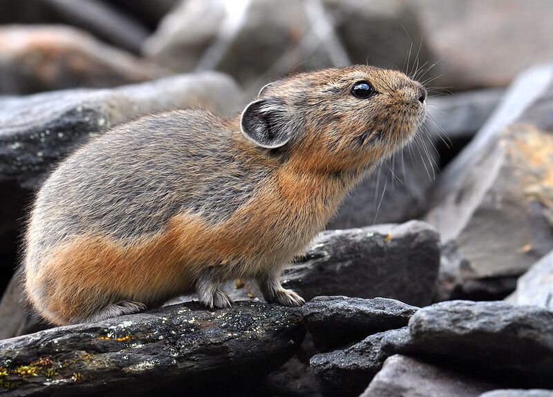 ути Боже мой!!!!!