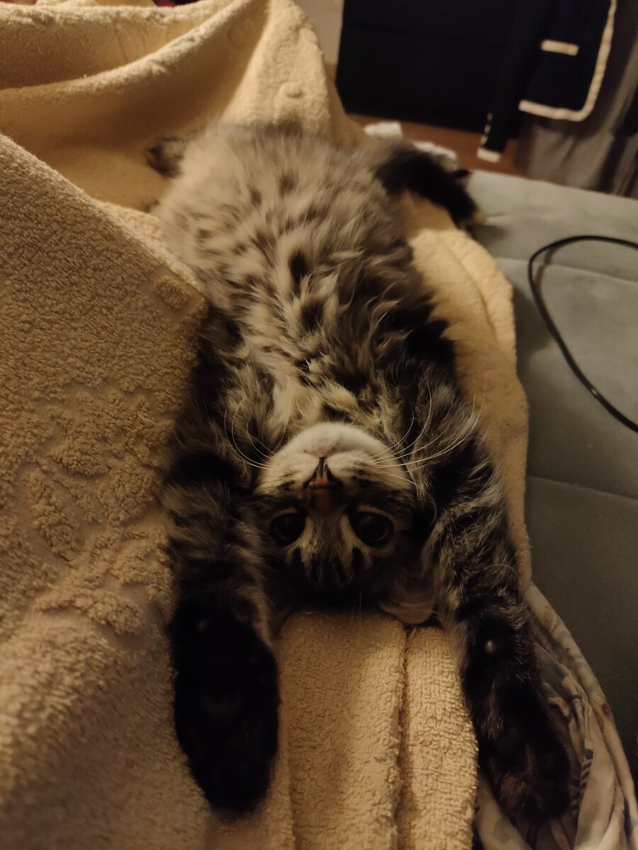 Тесла передает всем привет и радуется жизни