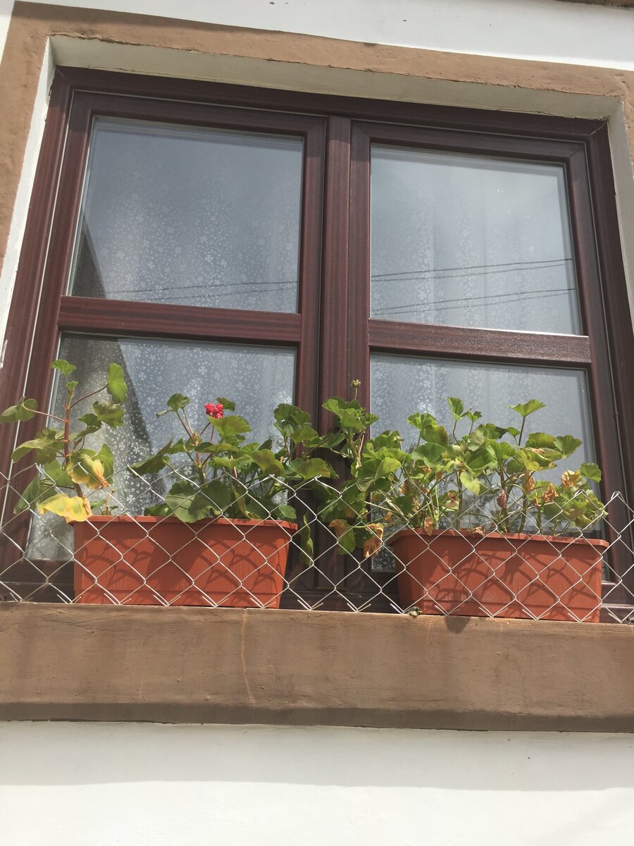 по стрелке вправо сдвиг фото