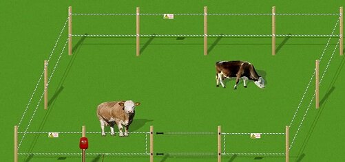 Электропастух из стеклопластиковых опор