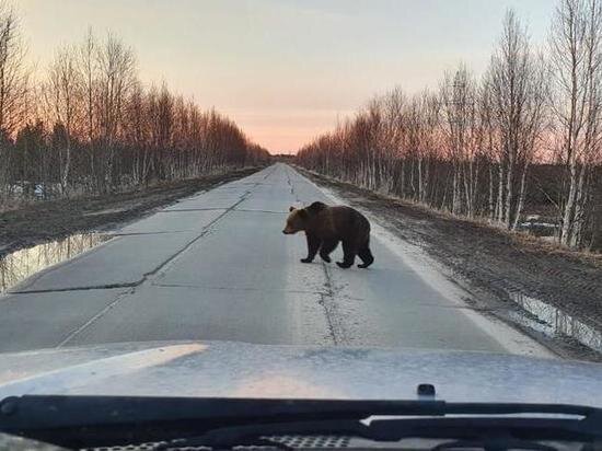  
Фото: vk.com ГУБКИНСКИЙ — ГОРОД МЕЧТЫ