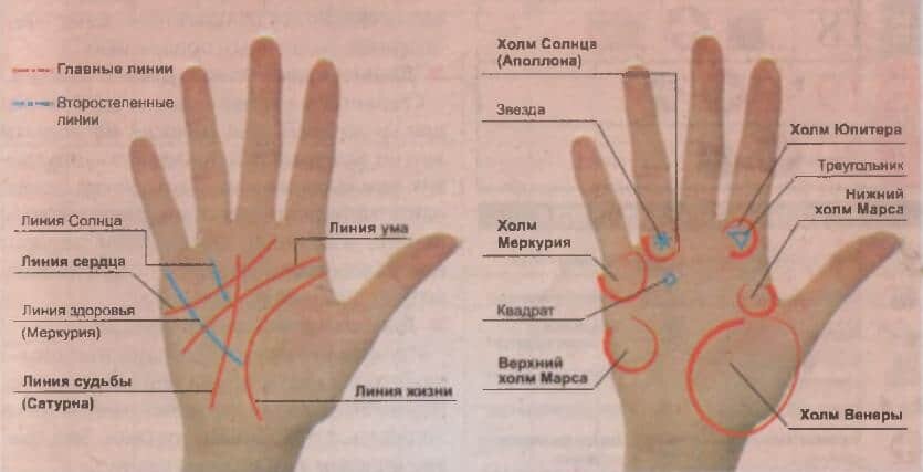 Линия жизни на руке: что означает и как правильно прочесть