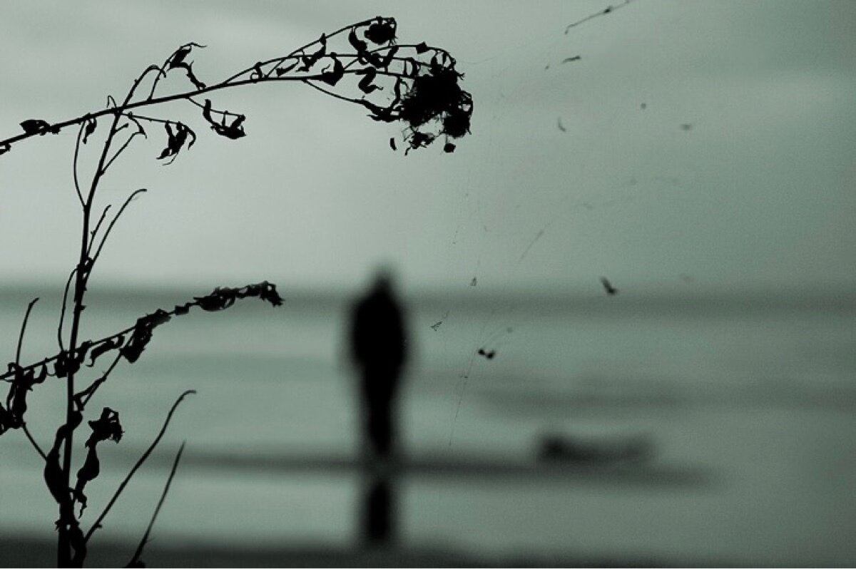 Когда вы создаете разрушительные программы для своего будущего поколения - учтите, что вы рано или поздно уйдете. А они останутся в том мире, который вы своими руками создали для них.