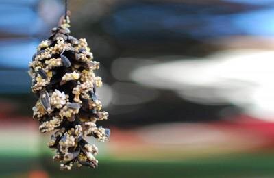 Все разработки для донной подкормки можно разделить на несколько основных типов, исходя из места ловли. Изделия для водоемов со стоячей водой отличаются особым разнообразием форм и материалов. Решение о том, как сделать кормушку для рыбалки, здесь зависит от личных предпочтений любителя ловли.