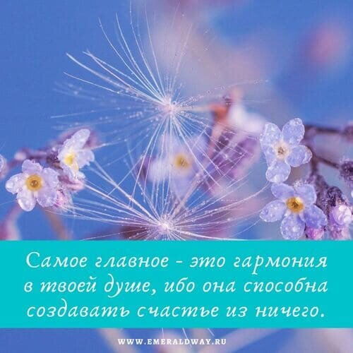 Когда все раздражает – как обрести спокойствие и не срываться на окружающих