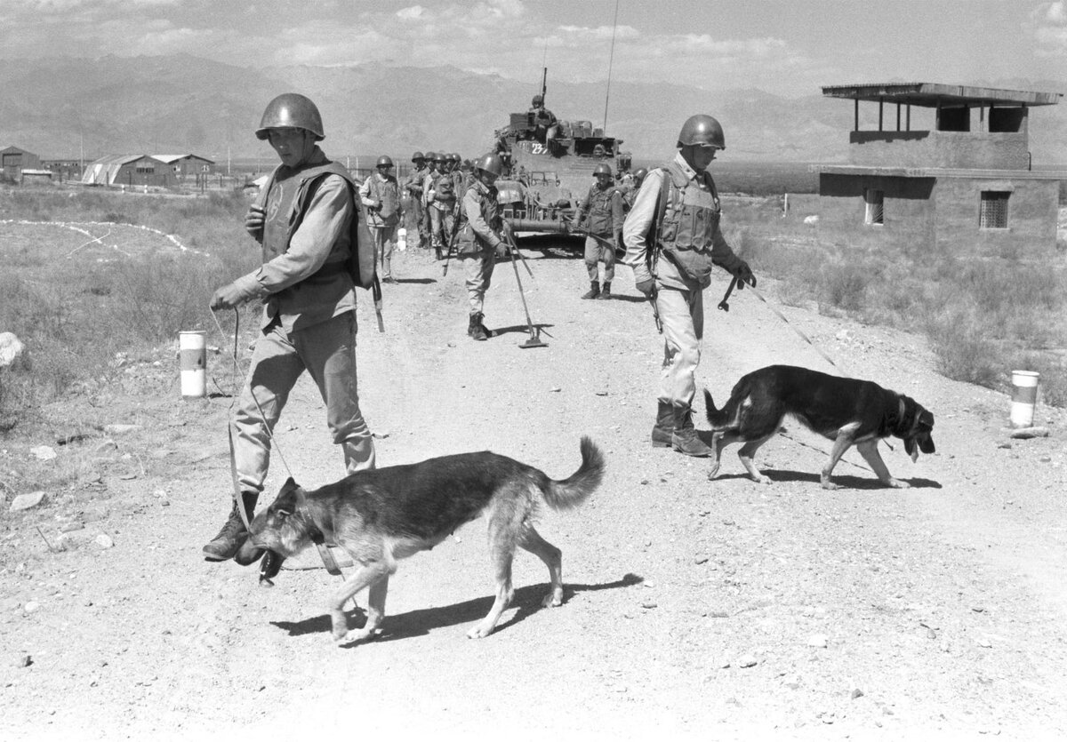 Типичная работа для сапёра в Афганистане. Проверка дороги перед колонной на наличие мин.  Ходячие мишени для снайперов противника. Поэтому и потери были высокими.