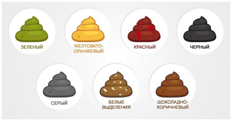 Кал зеленого цвета у взрослого причины что. Цвет кала. Кал зелёного цвета у взрослого причины.