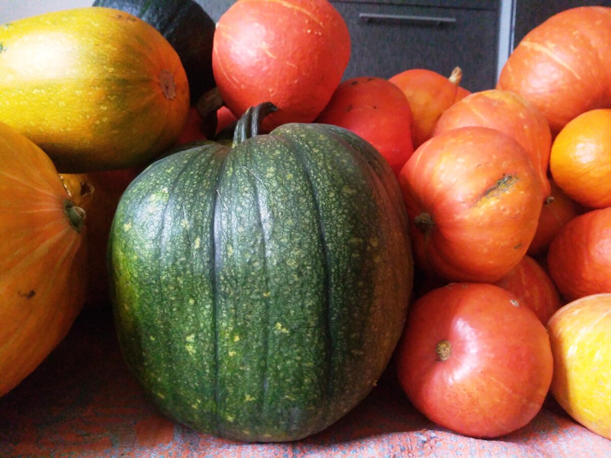 Малая часть тыквенной горы, из которой я взяла всего два мешка ))) Фото моё.