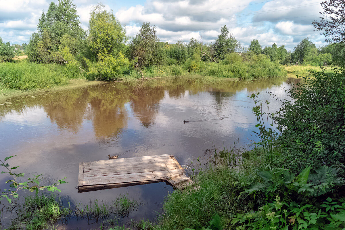 Павино костромская область. Павино (село, Костромская область). Река Павино. Река вочь. Река вочь Коми.